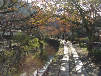 哲学の道　京都